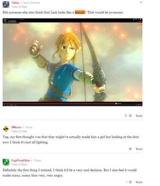 Illustration for article titled Some People Think Link Might Be A Girl In The New Zelda